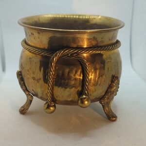 🌵 Brass Plant Pot